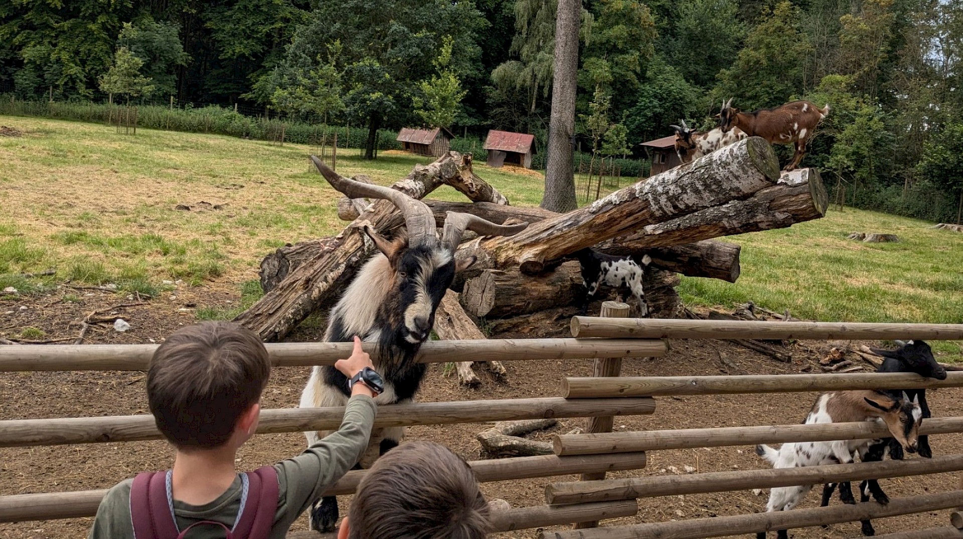 Ausflug in den Wildpark Poing