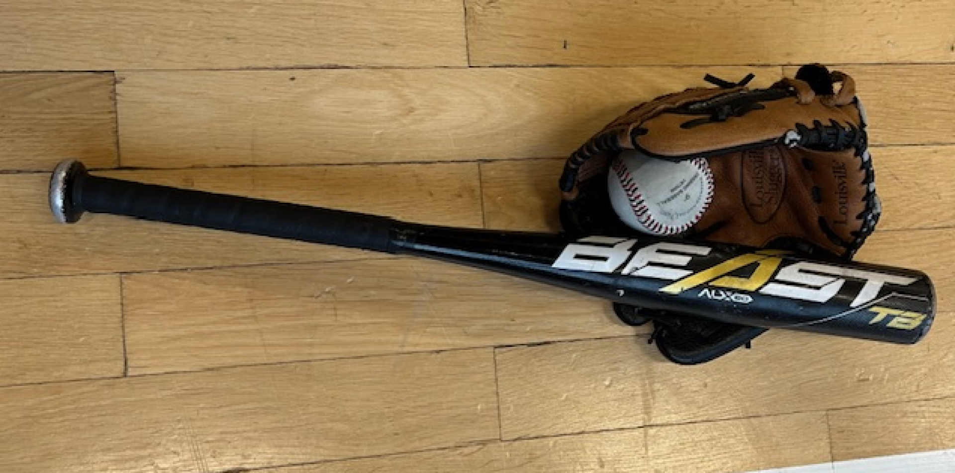 Baseball Schnuppertraining