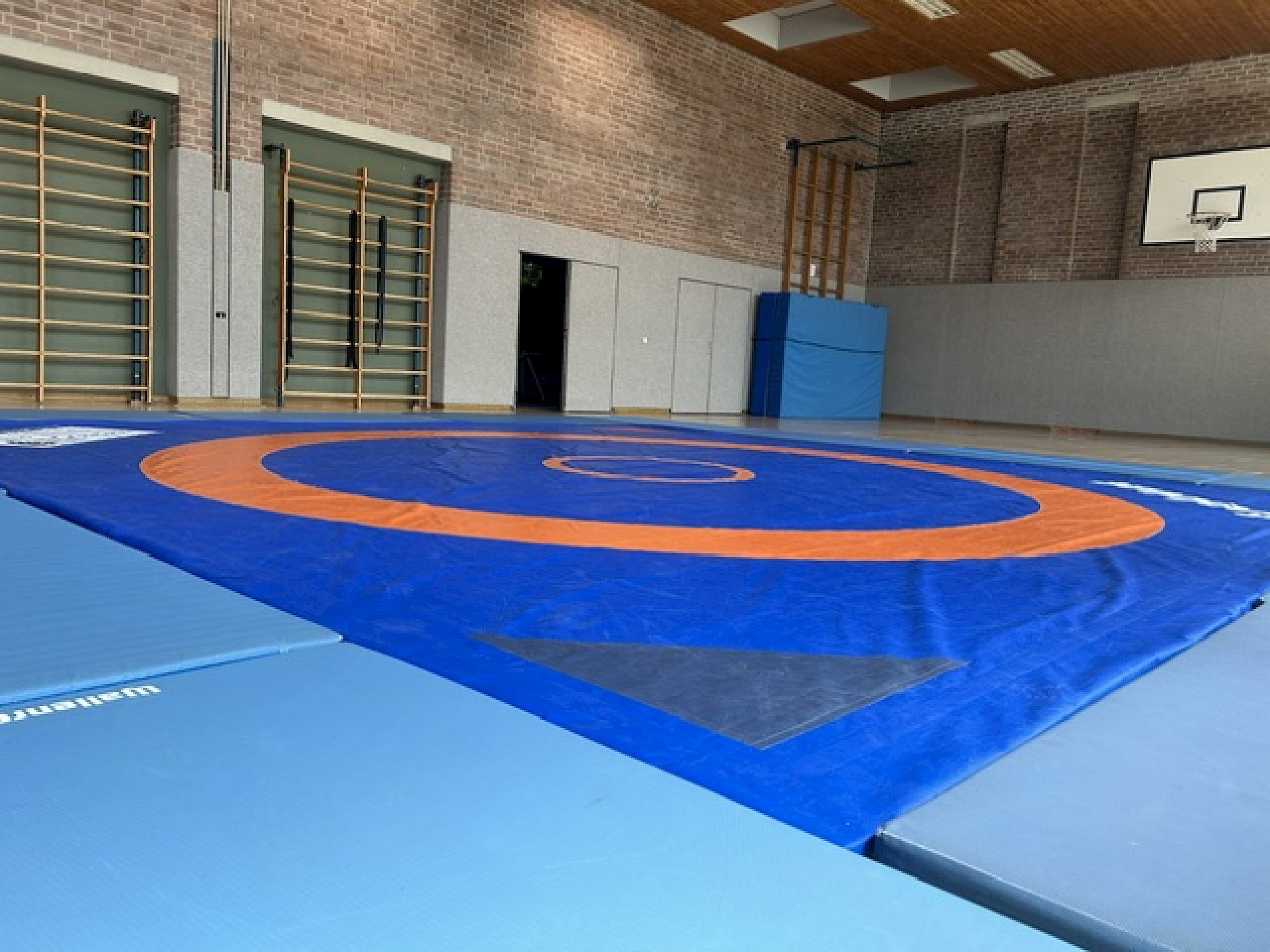 Ringen-Schnuppertraining